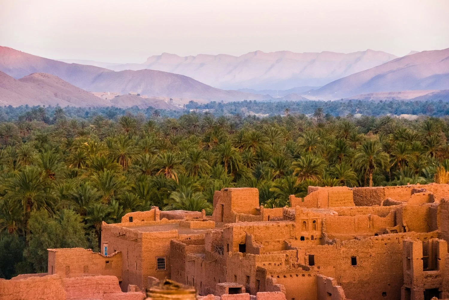 Earthen architecture, palms and mountains in warm natural light.